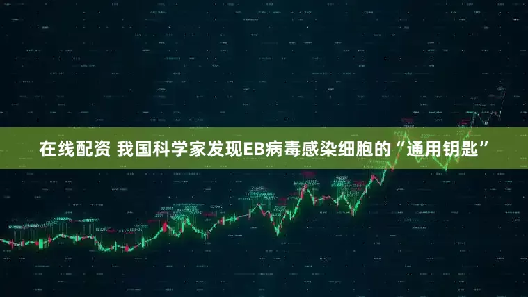 在线配资 我国科学家发现EB病毒感染细胞的“通用钥匙”